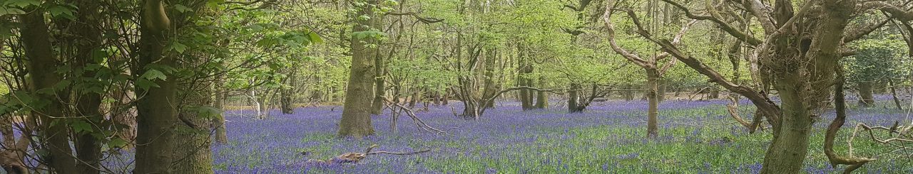 Turville Parish Council